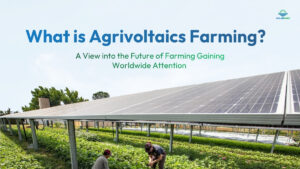 What is Agrivoltaics Farming?