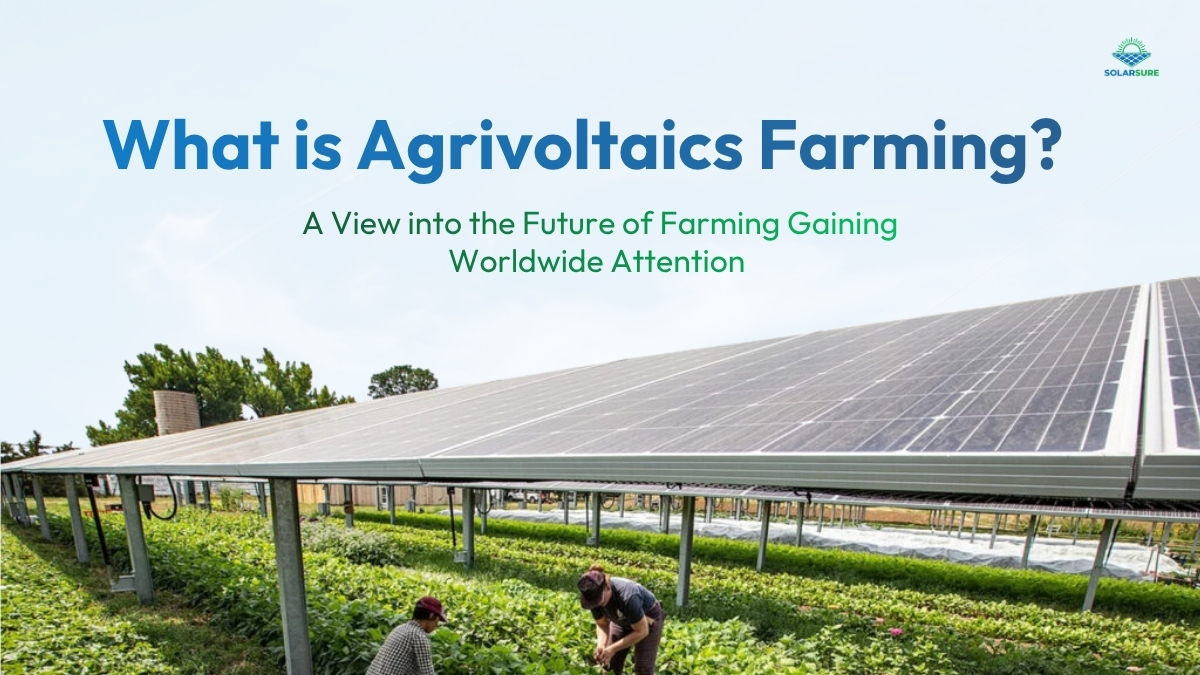 What is Agrivoltaics Farming?