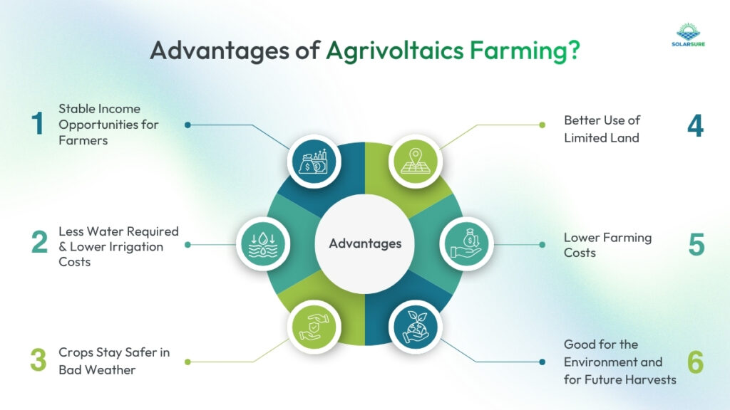 What are the Advantages of Agrivoltaic Farming?
