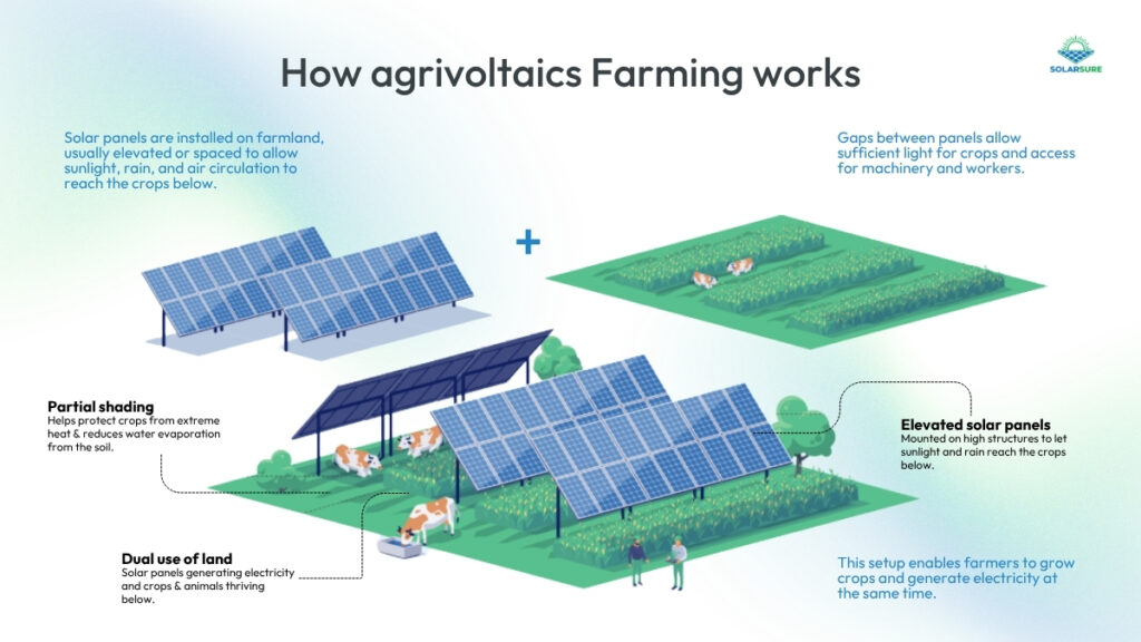 How Does Agrivoltaic Farming Work?