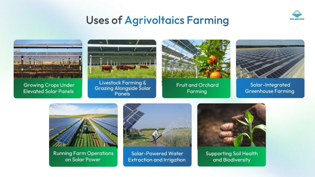 Uses of Agrivoltaic Farming