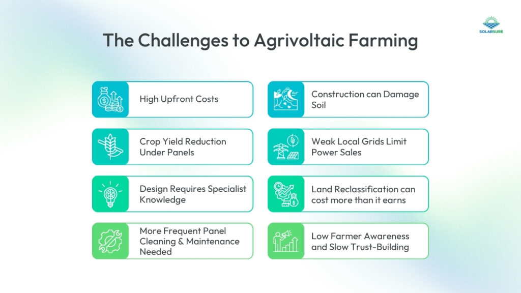 The Challenges to Agrivoltaic Farming