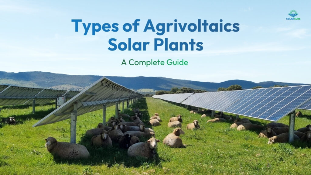 Types of Agrivoltaics Solar Plants: A Complete Guide 
