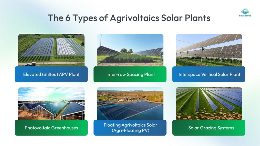 Types of Agrivoltaics Solar Plants 
