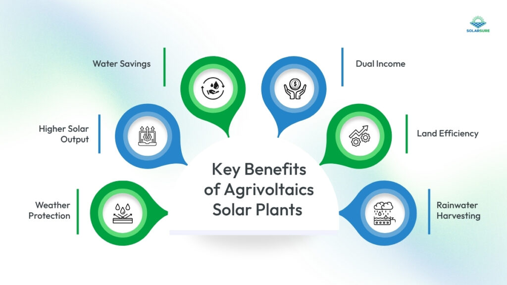 Key Benefits of Agrivoltaics Solar Plants 