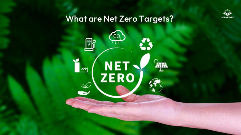 What are net zero targets