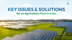 Problems and Solutions for an Agrivoltaics Plant in India