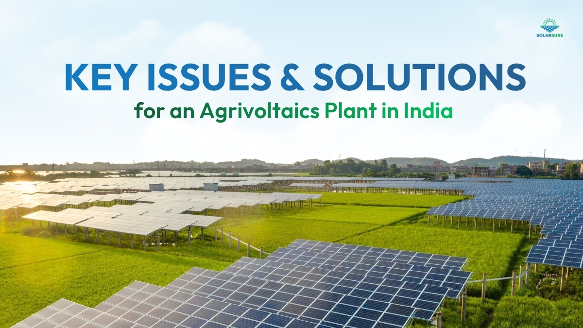 Problems and Solutions for an Agrivoltaics Plant in India
