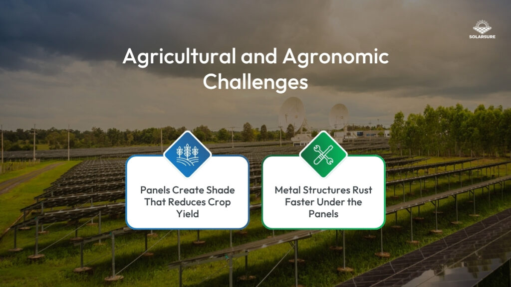 Agricultural and Agronomic Challenges in Agrivoltaics Plant