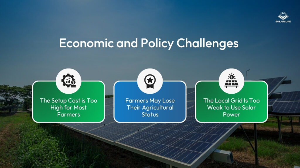 Economic and Policy Challenges in Agrivoltaics Solar Plant